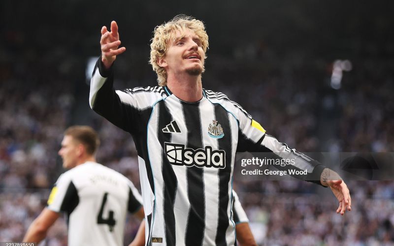 Nhận định Newcastle vs Tottenham, 03h15 ngày 3/12: Cơ hội vàng tại St James’ Park