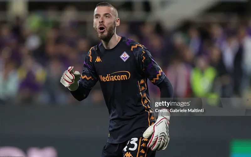 Soi kèo Udinese vs Fiorentina (2h ngày 25/5): Tỷ lệ thắng, phong độ hai đội