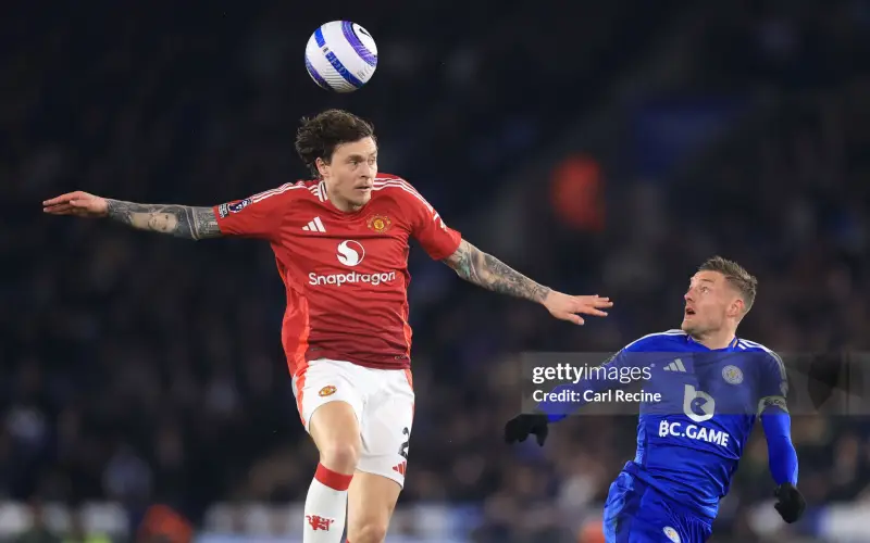 vardy-co-the-la-phuong-an-gia-re-chat-luong-cho-mu